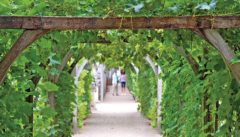 Blvq-loire-valley-biking-4